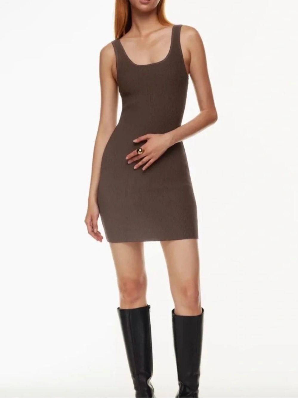 Aritzia Babaton Dress